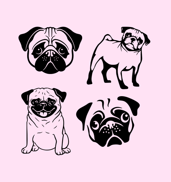 pug svg