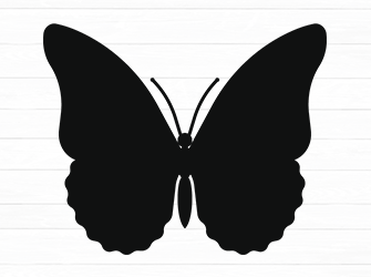 butterfly svg