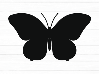 butterfly svg