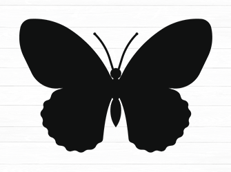 butterfly svg cricut