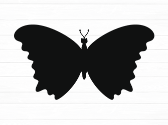 cute butterfly svg