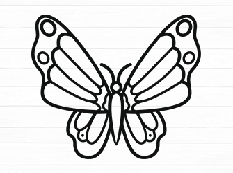 cute butterfly svg