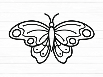 butterfly svg