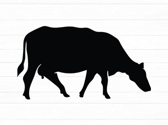 cow svg