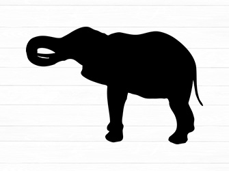 elephant svg vector