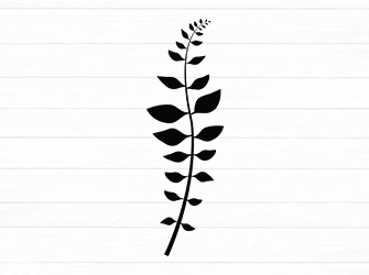 leaf svg