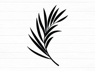 leaf cricut svg