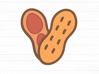 peanut svg