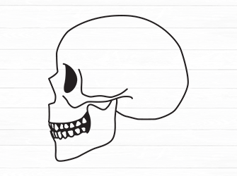 outline skull svg